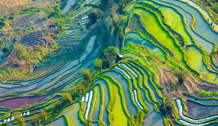 宝妈必备神器：廊坊产品视频拍摄轻松育儿好帮手